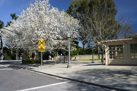 Atherton Train Station March 13, 2010